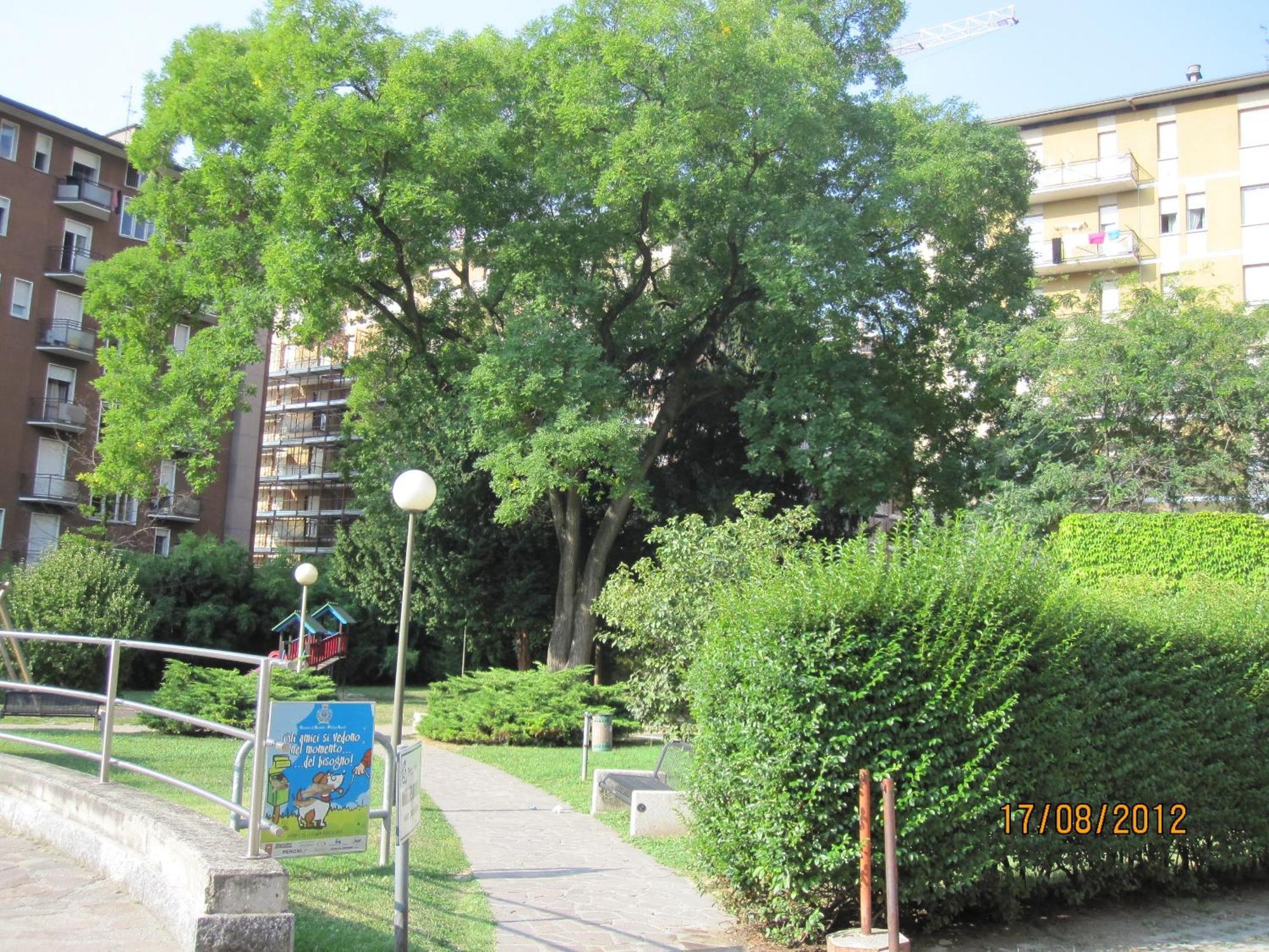 Piazzi House Lejlighedshotel Sondrio Eksteriør billede